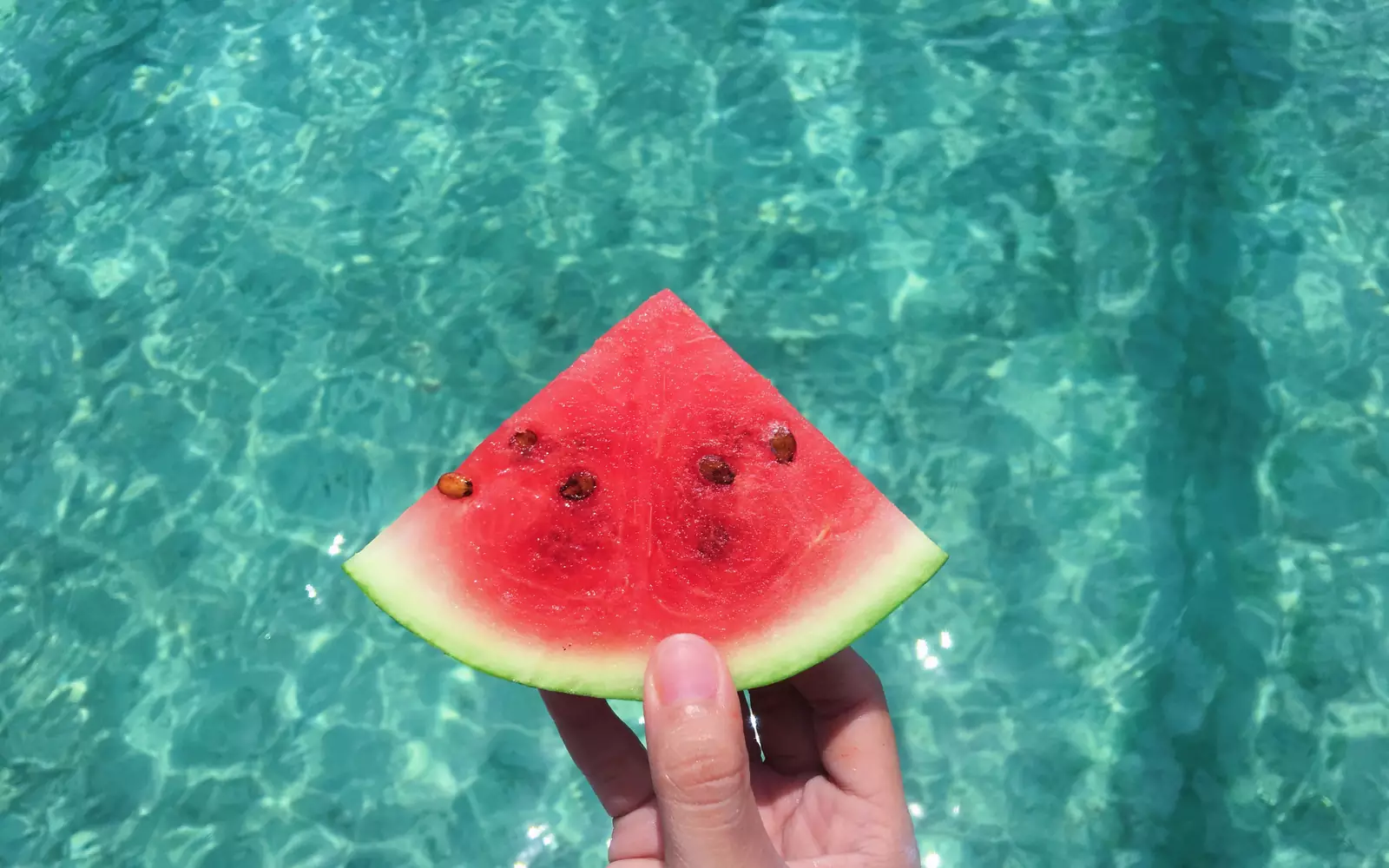 Арбуз. Арбуз.