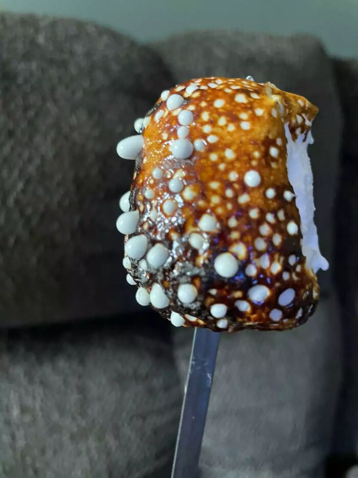 «Повторно поджарил зефир. Это было ошибкой». «Повторно поджарил зефир. Это было ошибкой».