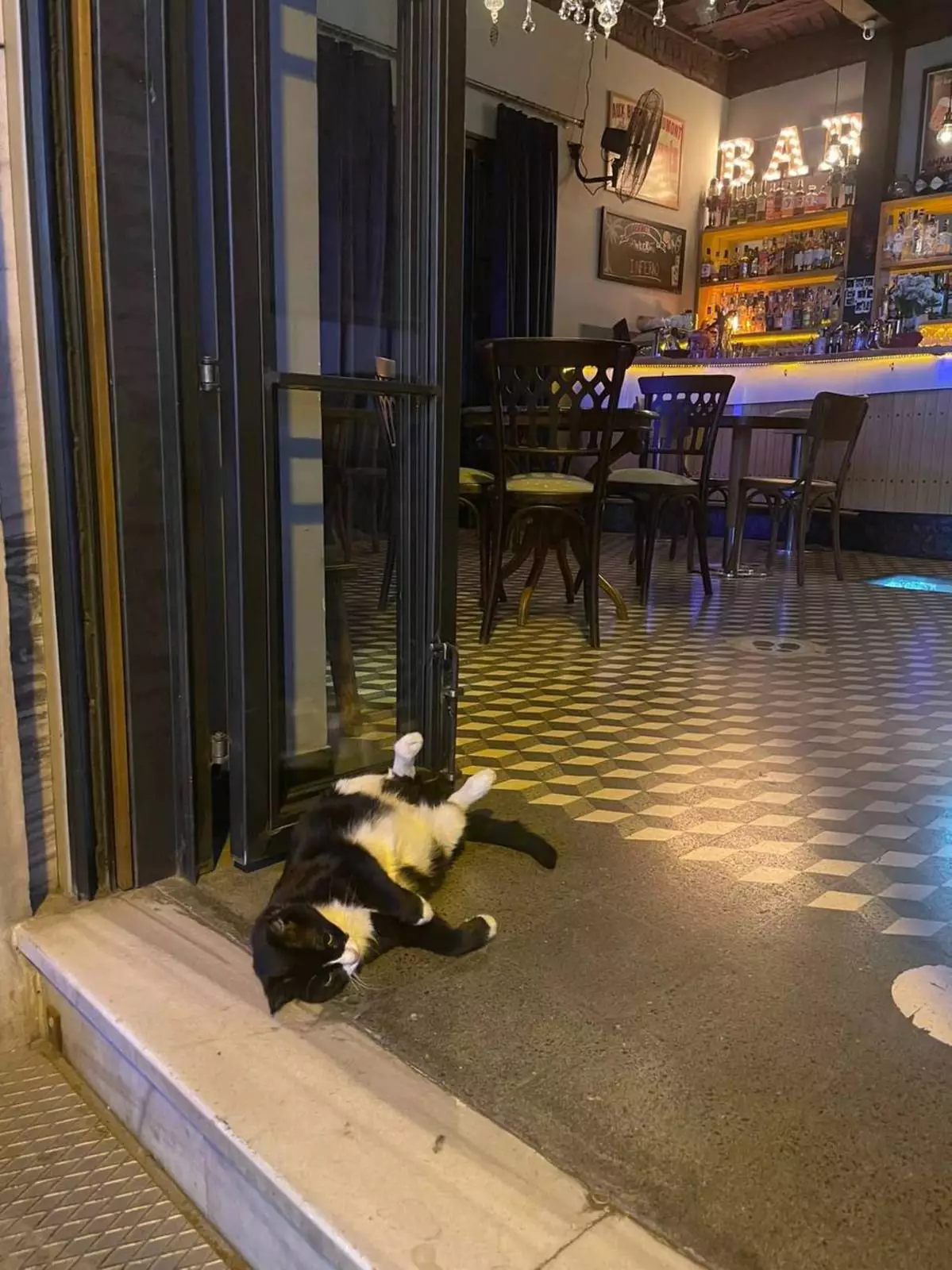 Барсику больше не наливать. Барсику больше не наливать.