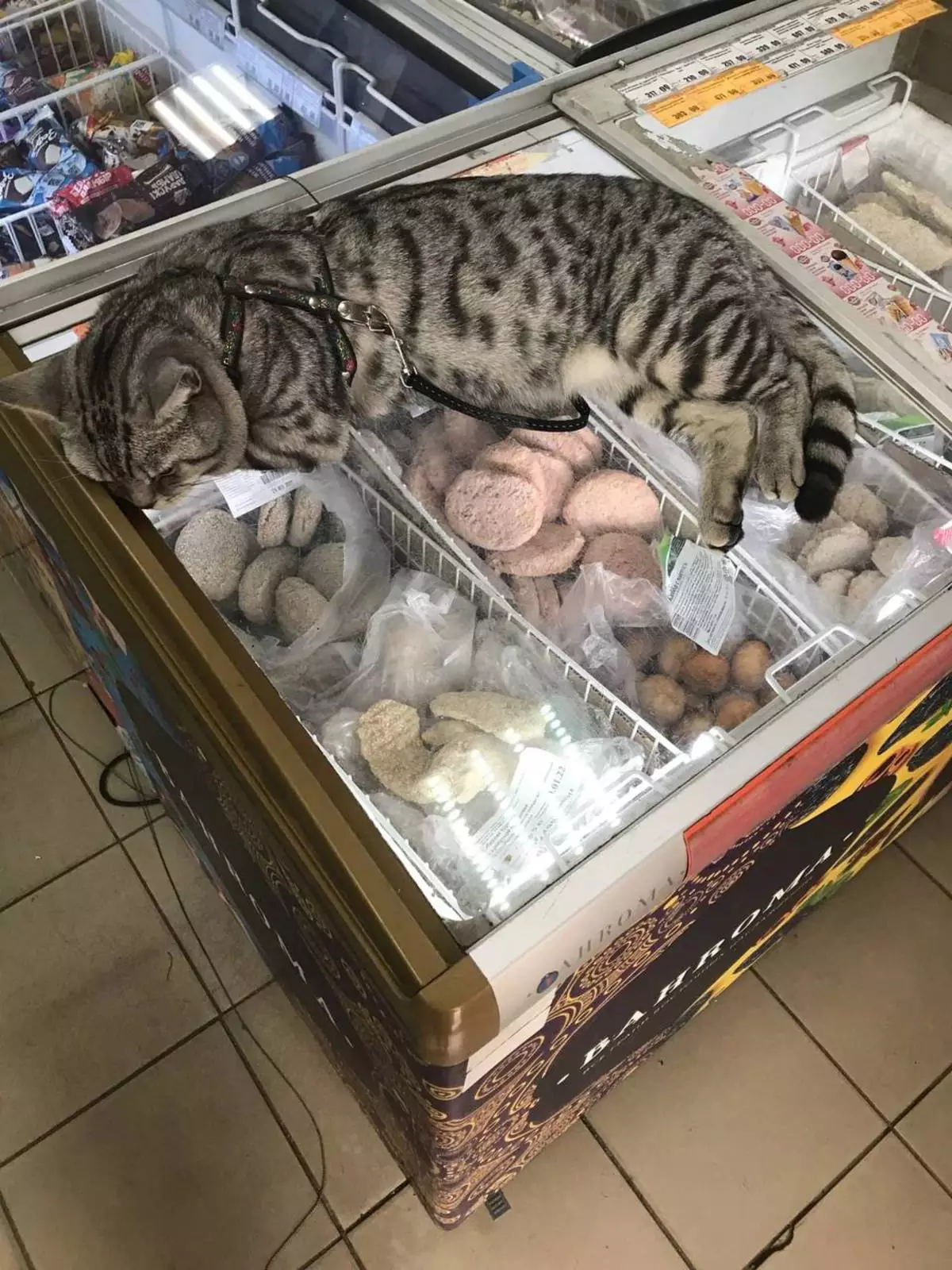 Хранитель котлет. Хранитель котлет.