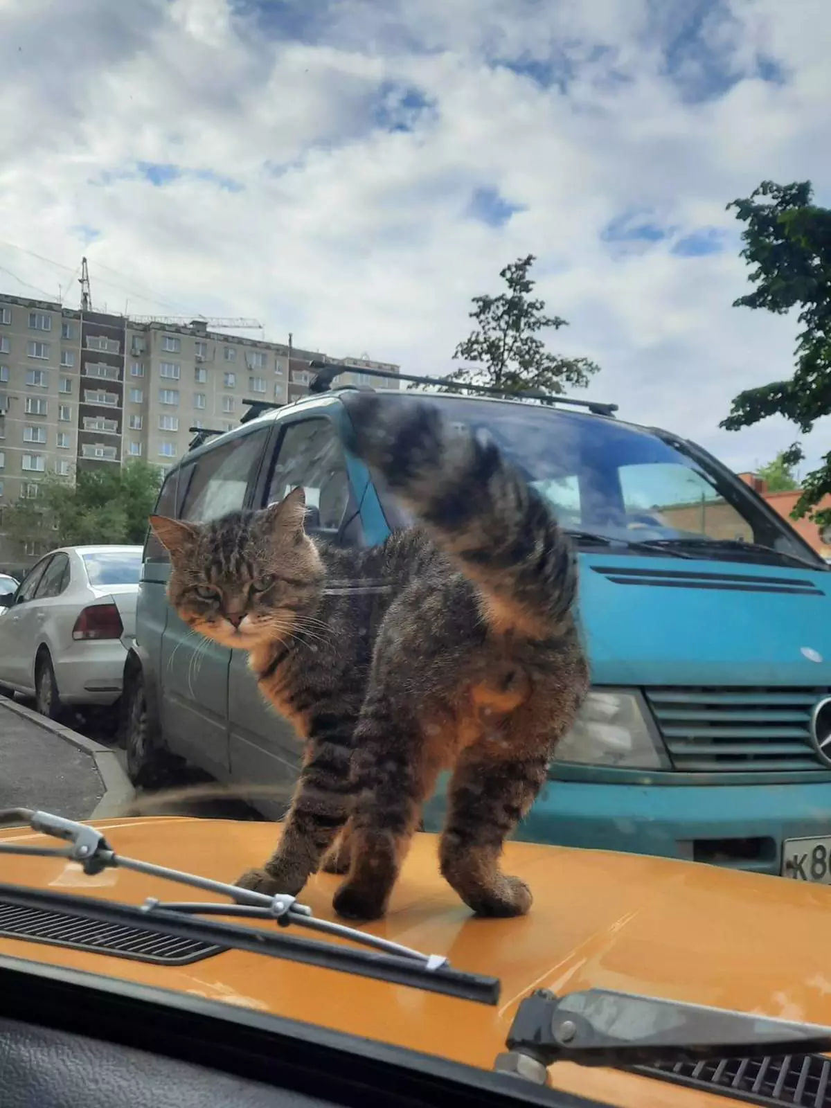 Судя по его взгляду, он автомобиль отжал. Судя по его взгляду, он автомобиль отжал.