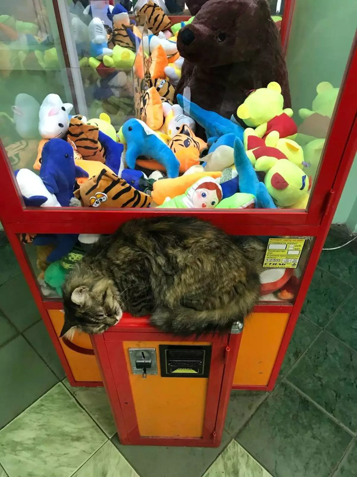 «Сегодня не играешь». «Сегодня не играешь».