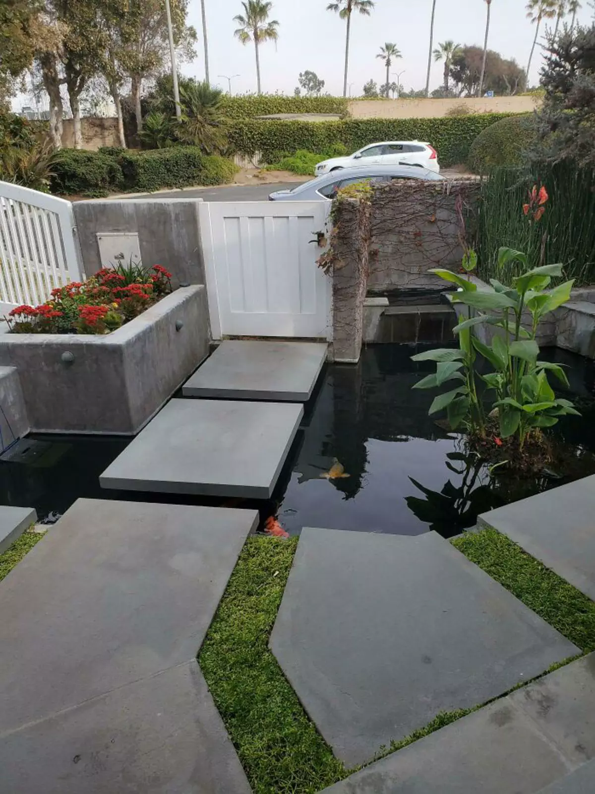 «Сегодня я чуть не свалился здесь, когда доставлял продукты». «Сегодня я чуть не свалился здесь, когда доставлял продукты».