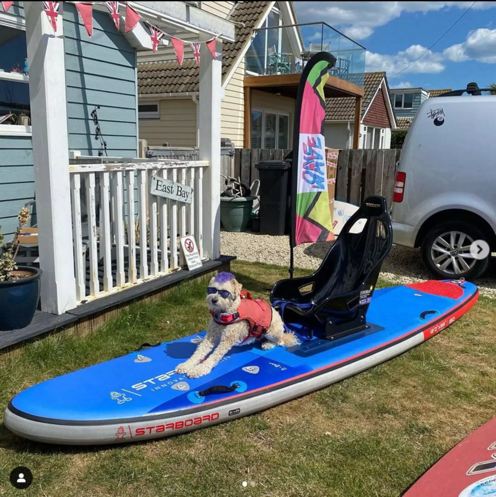 Сначала Скутер привыкал к доске для серфинга, стоя на ней в саду. Сначала Скутер привыкал к доске для серфинга, стоя на ней в саду.