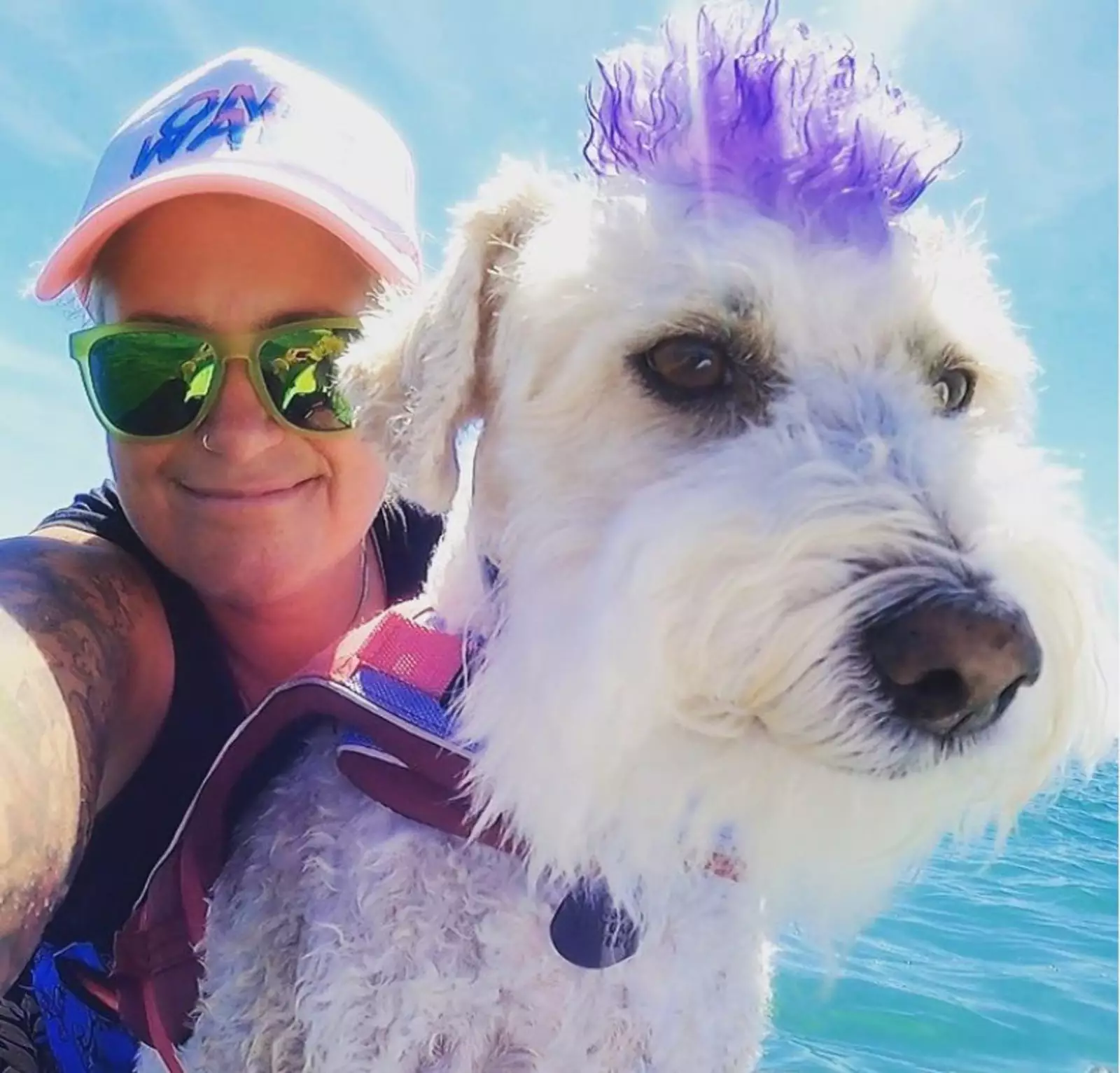 Скутер со своей хозяйкой Кирсти. Скутер со своей хозяйкой Кирсти.