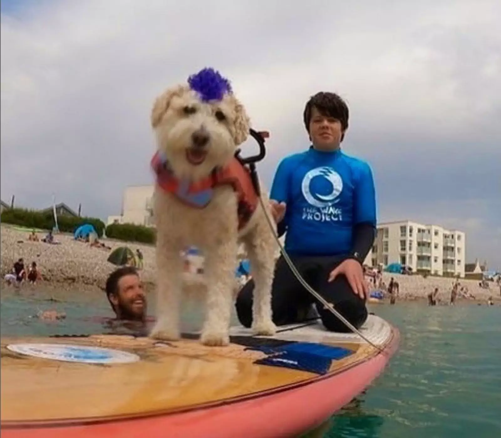 Скутер занимается серф-терапией как со взрослыми, так и с детьми. Скутер занимается серф-терапией как со взрослыми, так и с детьми.