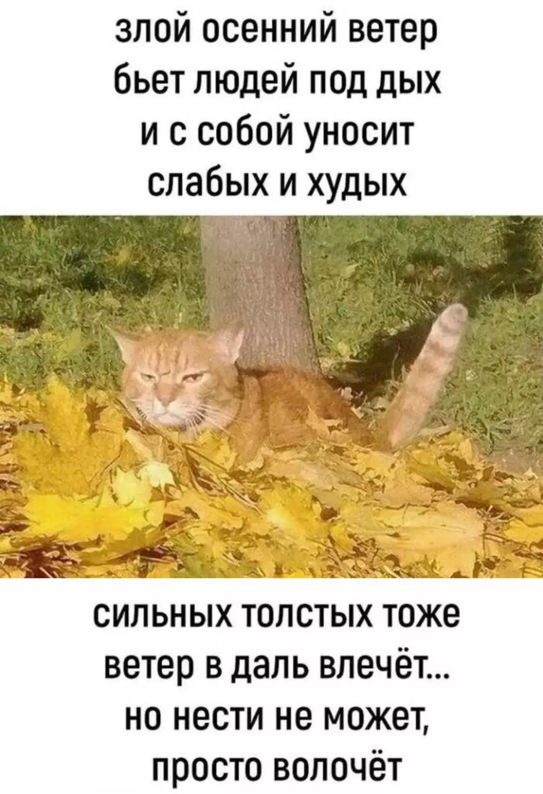 Ох уж этот ветер. Ох уж этот ветер.