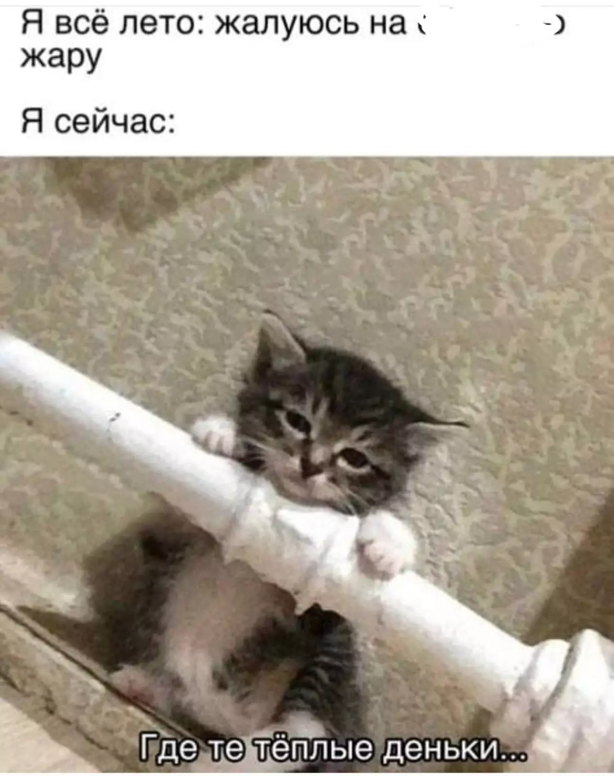 Как-то обидно выходит. Как-то обидно выходит.