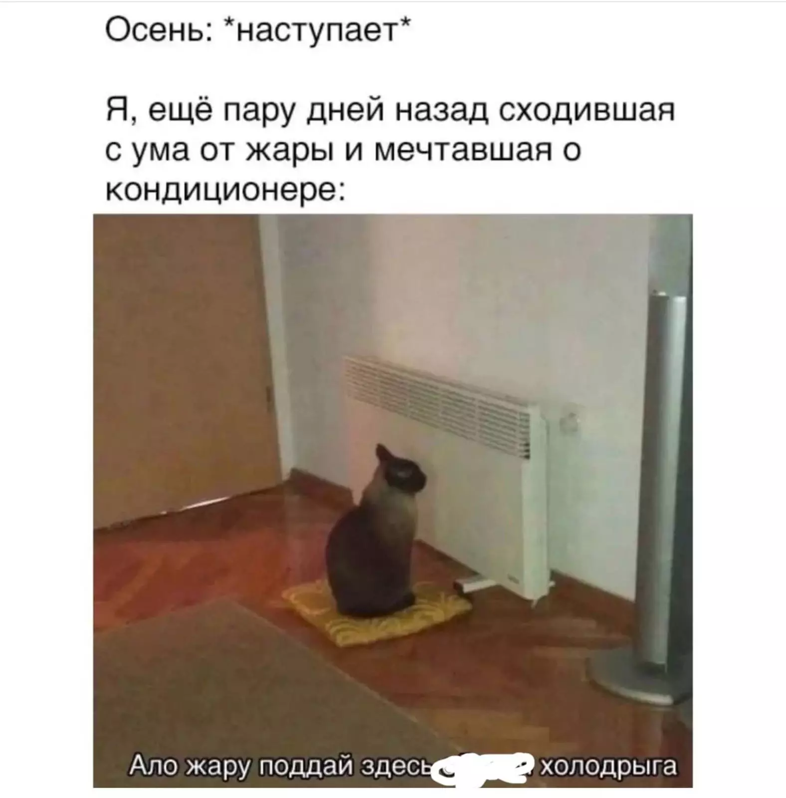 Это уже ни в какие ворота. Это уже ни в какие ворота.