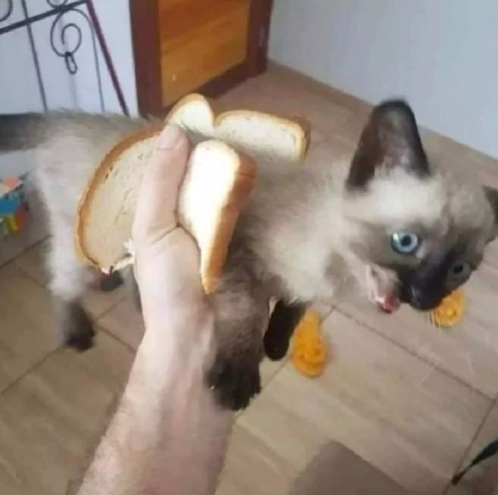 «Странная у вас какая-то колбаса». «Странная у вас какая-то колбаса».