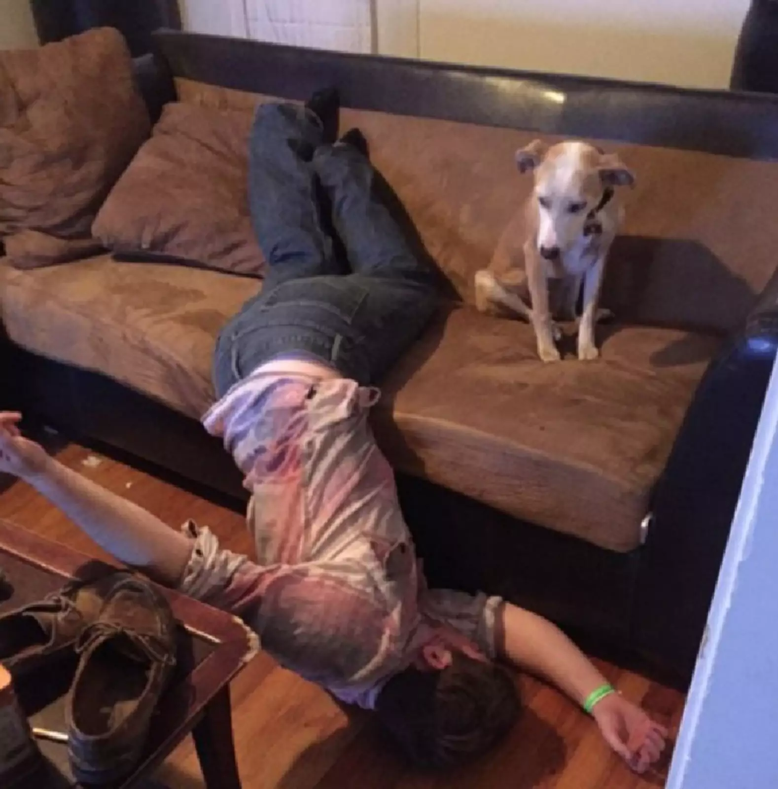 «Хозяин, надо меньше пить». «Хозяин, надо меньше пить».